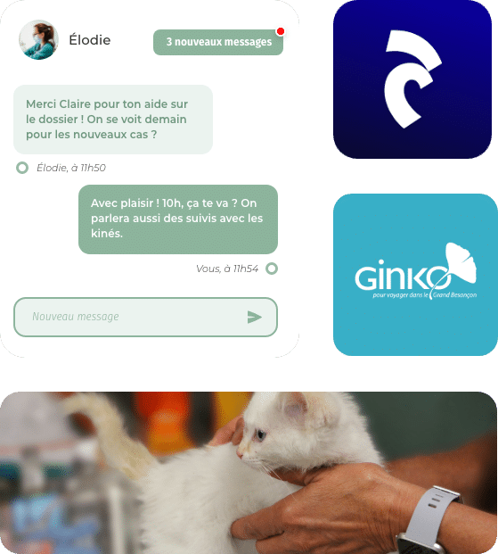 Composition d'images, une messagerie médical, logo application FFJUDO, logo application Ginko, photo de chat chez le vétérinaire