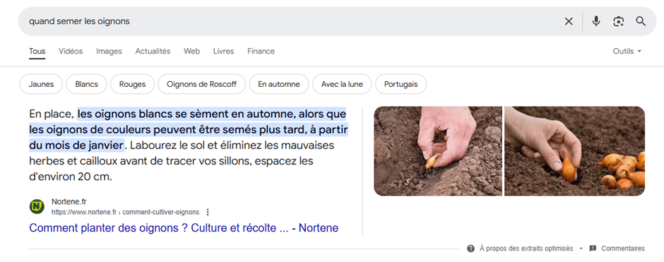 capture d'écran du featured snippet google pour une requête de jardinage